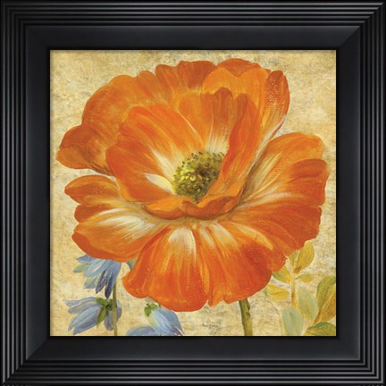 Framed Primavera II Print