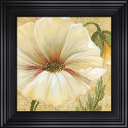 Framed Primavera III Print