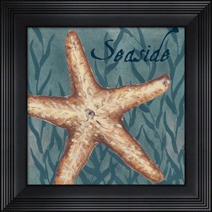 Framed Nautical Critters II Print