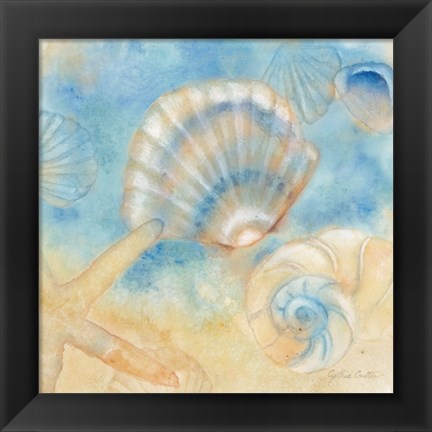 Framed Watercolor Shells II Print