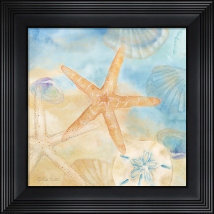 Framed Watercolor Shells IV Print