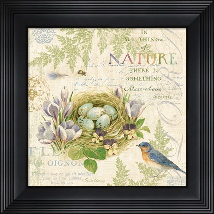 Framed Nature Trail I Print