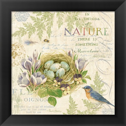 Framed Nature Trail I Print