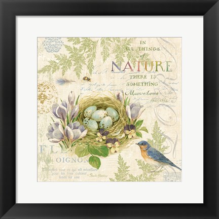 Framed Nature Trail I Print