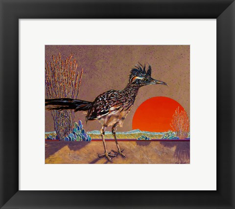 Framed Roadrunner in the Evening Print