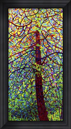 Framed Kaleidoscope Print