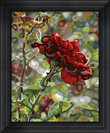 Framed Last Rose Of Summer Print