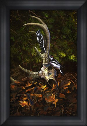 Framed Circle of Life Print