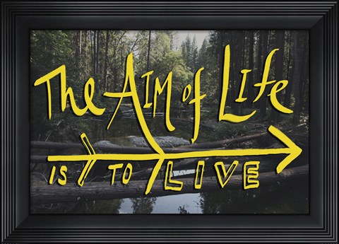 Framed Aim of Life Print