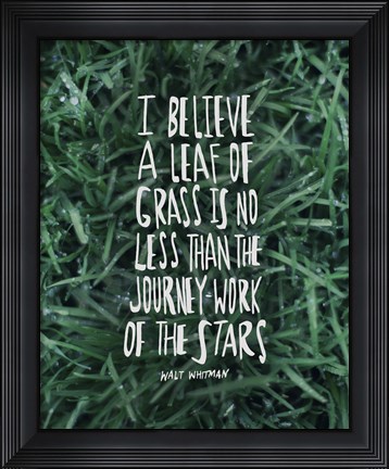 Framed Leaf Of Grass Print