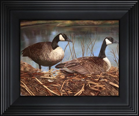 Framed Nesting Print