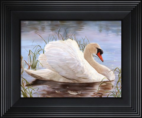 Framed Swan Print