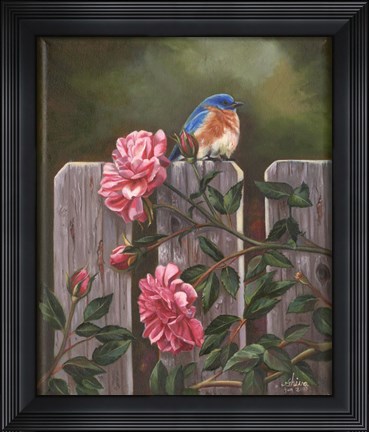 Framed Blue Bird Print