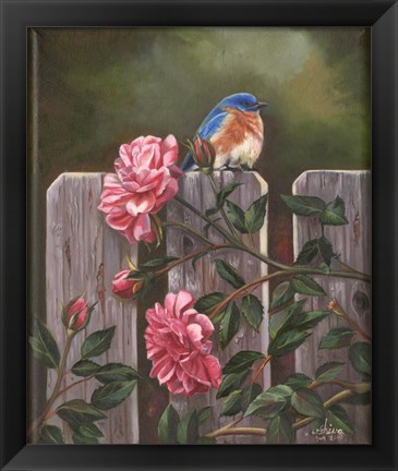 Framed Blue Bird Print