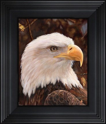 Framed Eagle Print