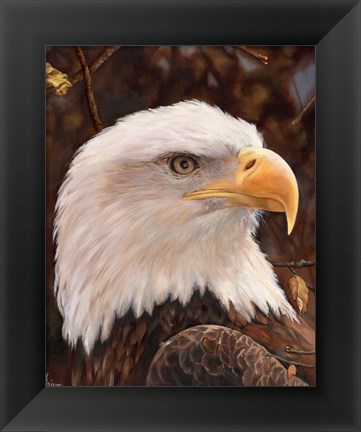 Framed Eagle Print