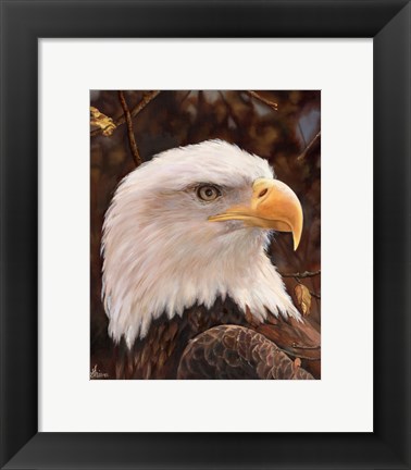 Framed Eagle Print