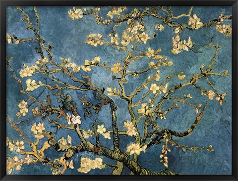 Framed Blossoming Almond Tree, Saint-Remy, c.1890 Print