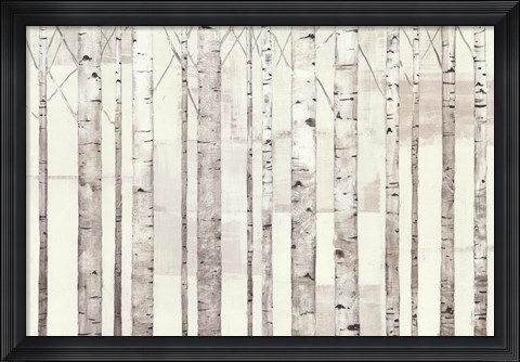 Framed Birch Trees on White Print