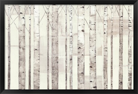 Framed Birch Trees on White Print