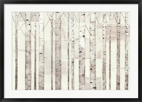 Framed Birch Trees on White Print