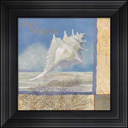 Framed Ocean Beauties I Print