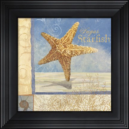 Framed Ocean Beauties IV Print