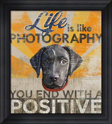 Framed Dog days - Lab Pup Print