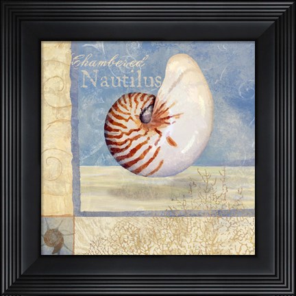 Framed Ocean Beauties V Print