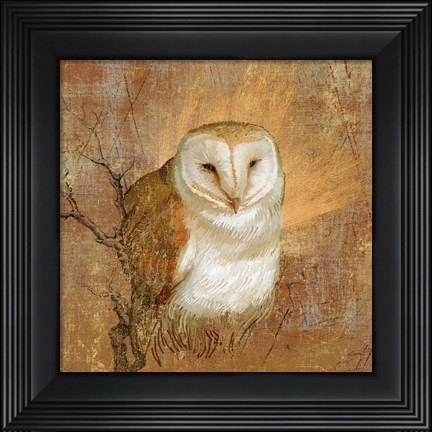 Framed Owl in the wood Print