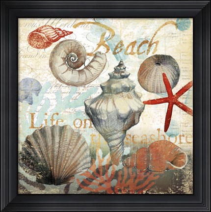 Framed Shell Collector1 Print
