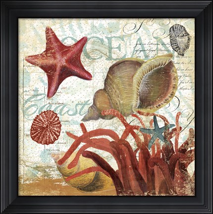 Framed Shell Collector 1I Print