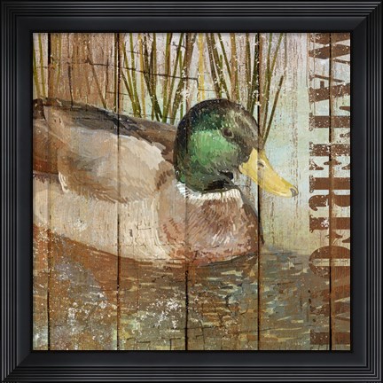 Framed Open Season Mallard Print