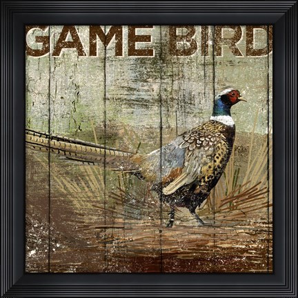 Framed Open Season Pheasant Print