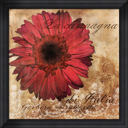 Framed Gerbera Italia Print
