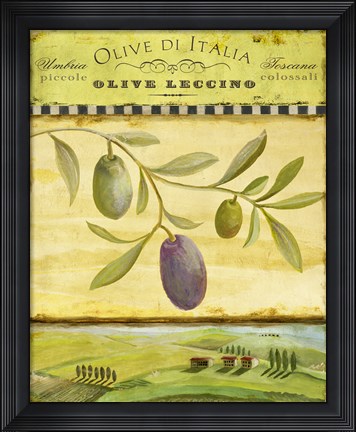 Framed Olive Grove Tuscana Print