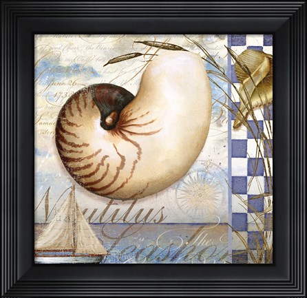 Framed Shell Dreams 2 Print