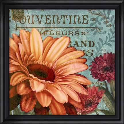 Framed Rouge From the Garden II Print