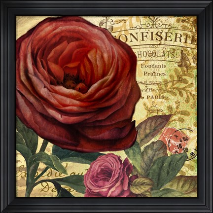 Framed Rouge From the Garden IV Print