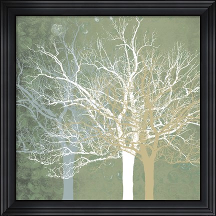 Framed Quiet Forest Print