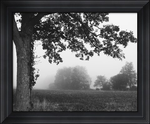 Framed Over the Meadow Print