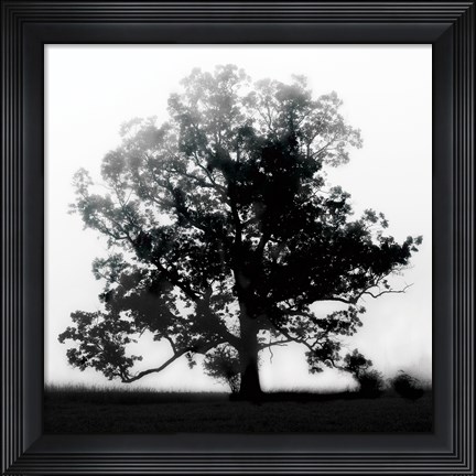 Framed Autumn Glory Print
