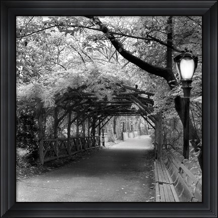 Framed Central Park Pergola Print