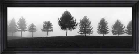 Framed Tree Line Print