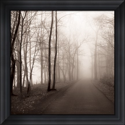 Framed Foggy Path Print