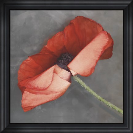 Framed Rouge Print