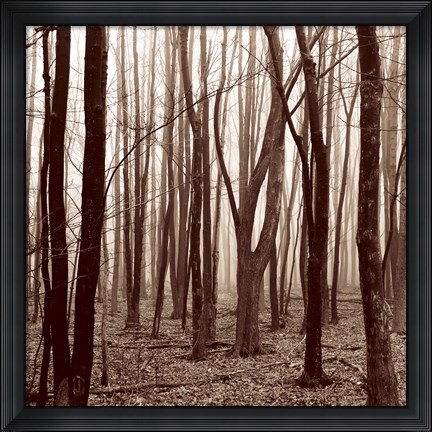 Framed Gathering Print