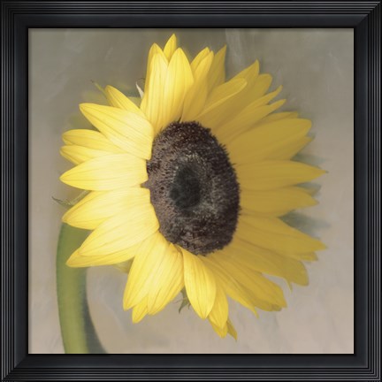 Framed Sunflower Print