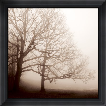 Framed Serenity Print