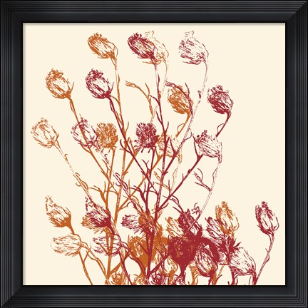 Framed Zamora Print